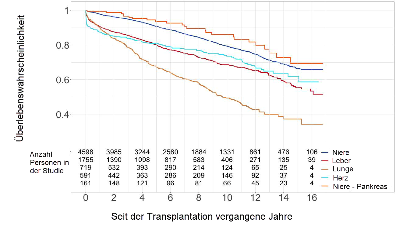 Die Überlebenswahrscheinlichkeit der Organempfängerinnen und -empfänger als Kaplan-Meier-Kurve für die Berichtsperiode Januar 2008 bis Dezember 2018.